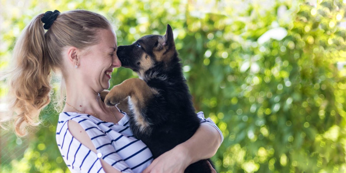 Happy girl holding a German shepherd puppy and smiling. Buying and acquiring a dog, the joy of meeting. The dog bites and kisses the owner. On a blurred green background. copy space