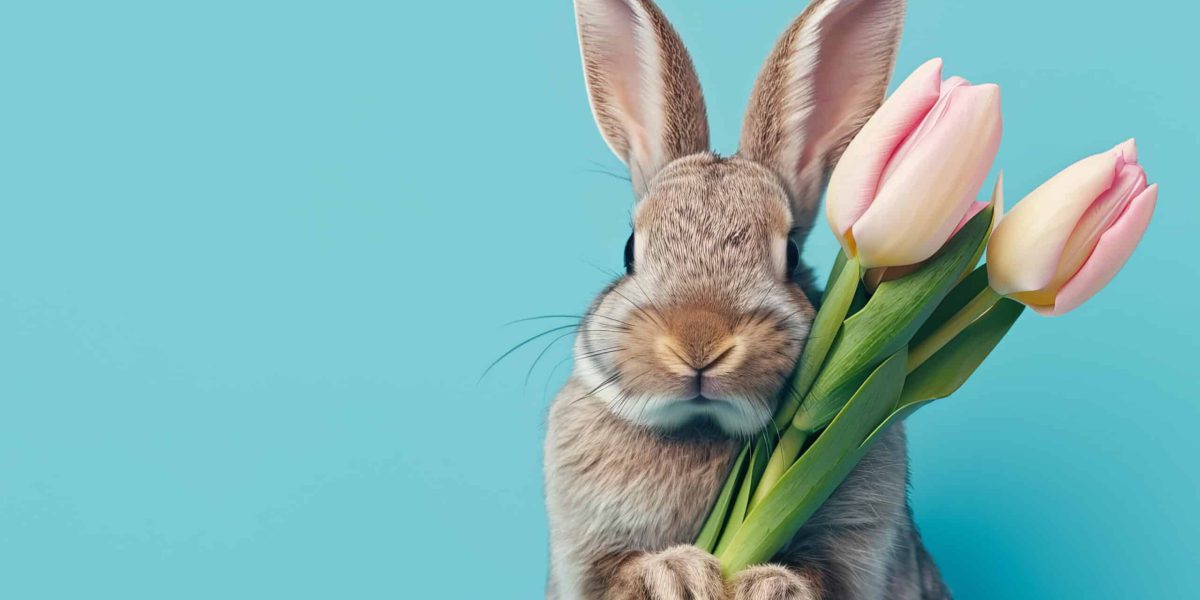 cute bunny holds out a pastel tulip’s bouquet isolated on pastel light blue background with copy space
