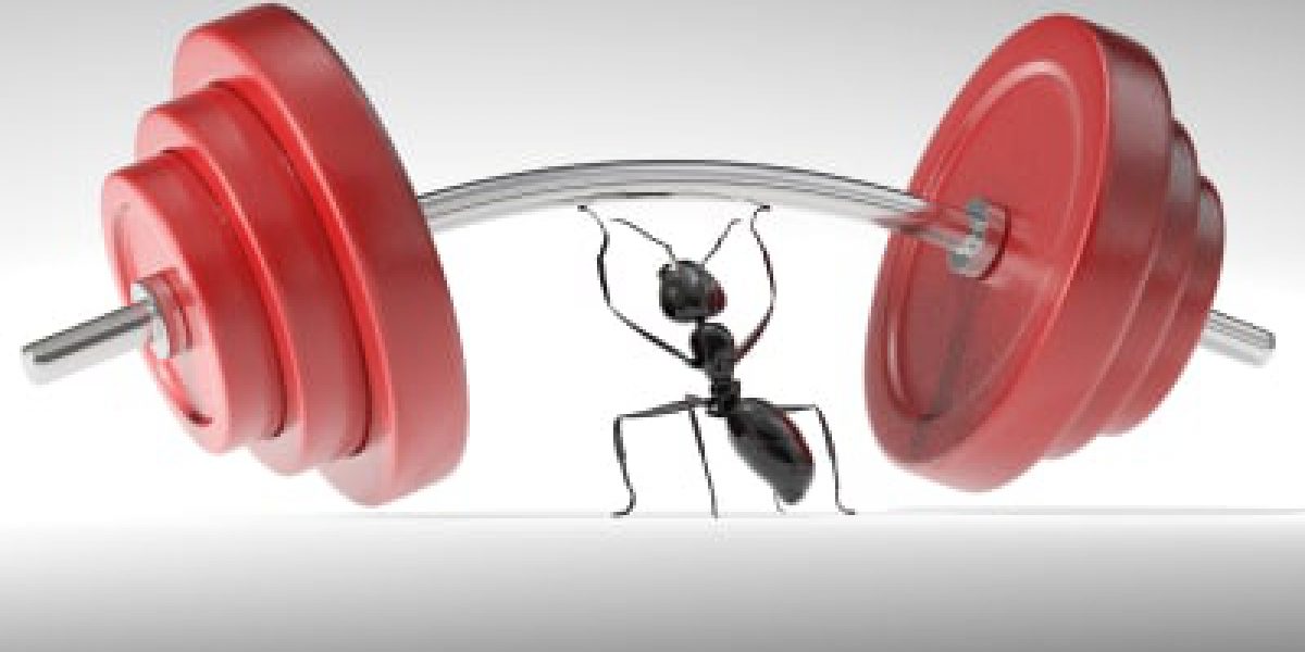 An ant lifting heavy weights. Very high resolution 3D render.