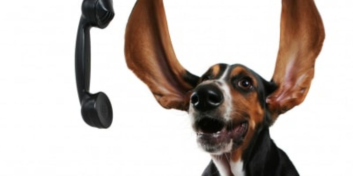 BassetTelefon