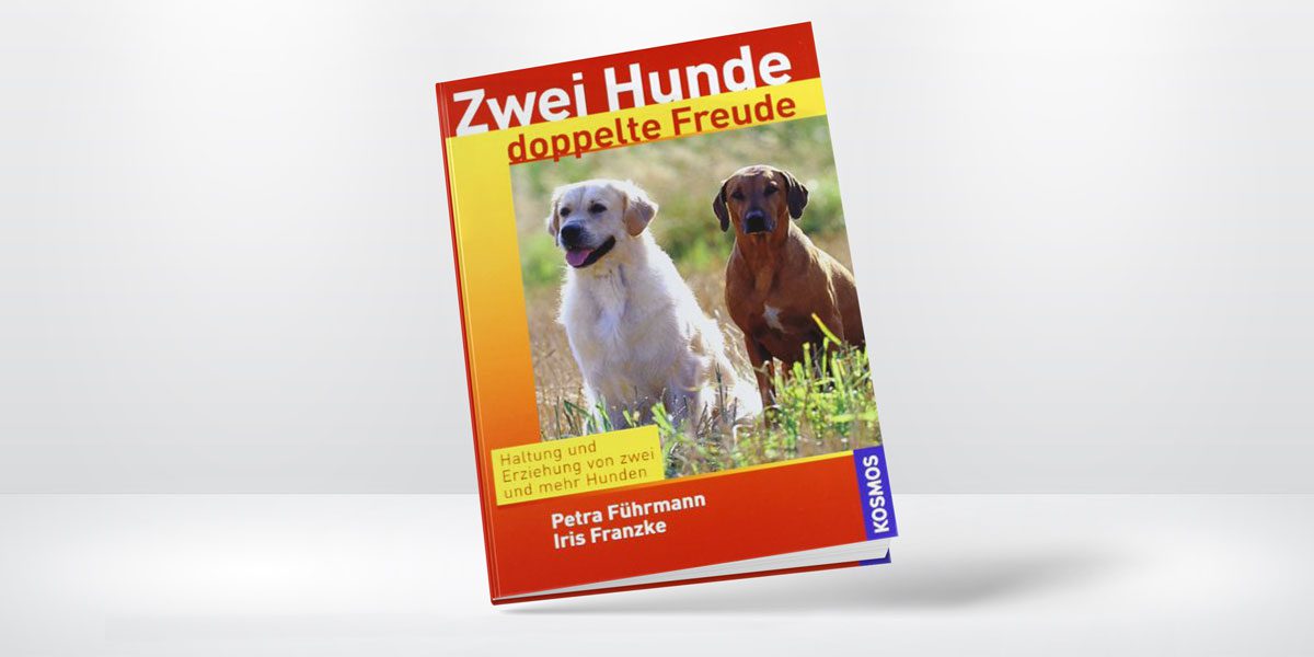 Zwei Hunde doppelte Freude